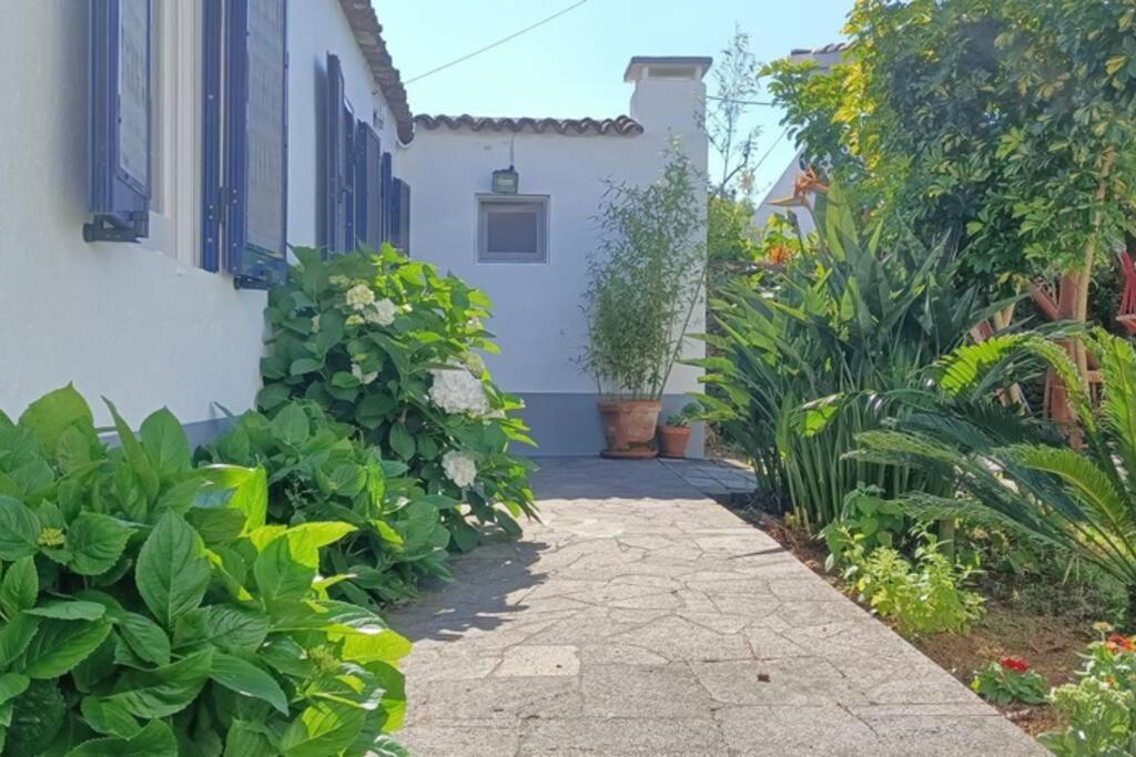 Casa Azores Zen Ribeira Grande Exterior photo